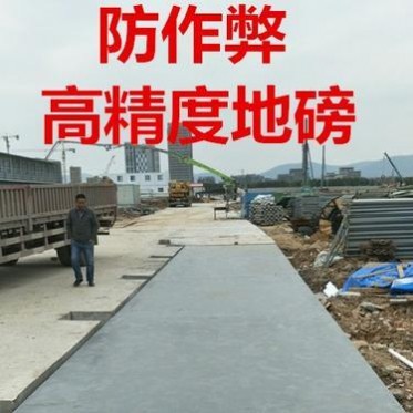 防作弊地磅 數字式防作弊地磅 數字式電子汽車衡
