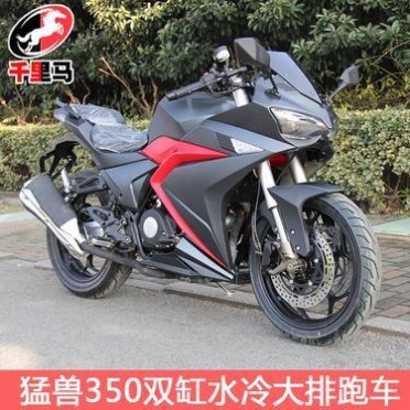 摩托車大跑車地平線跑車 猛獸 公路賽 250-350cc雙缸水冷 包郵